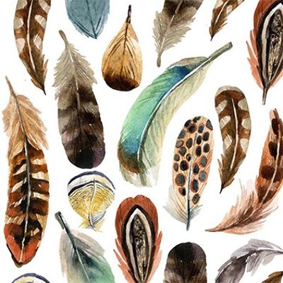 Watercolor feathers 33x33 cm