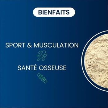 Protéine végétale bio - 80% de protéines - 3,5 kg 2