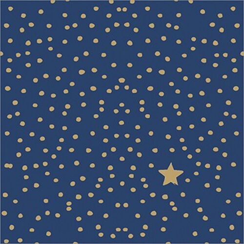 The Star Money dark blue 33x33 cm