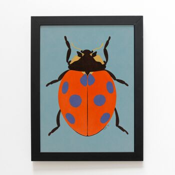 Art Print - « Coccinelle Beetle » - différentes tailles 1