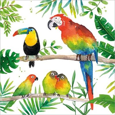 Oiseaux Tropicaux 33x33 cm