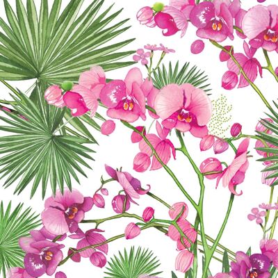 Orchidées & Palmiers 33x33 cm