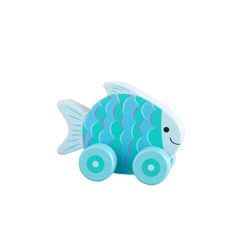 Fish First Push Toy  