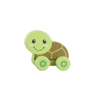 Primo giocattolo da spingere della tartaruga