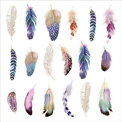 Feathers Fantasy 33x33 cm