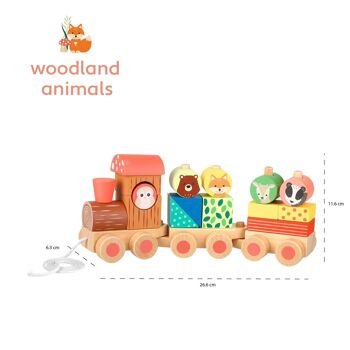 Puzzle des bois Train 5