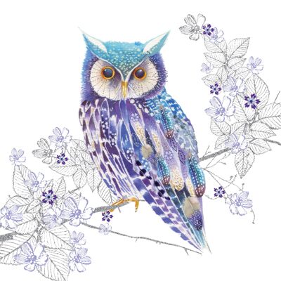 Blue Owl 33x33 cm