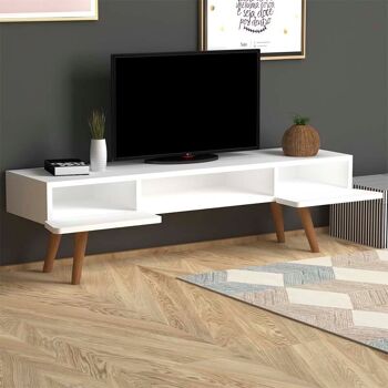 Meuble TV DEMETRA Blanc 120x30x40cm 2