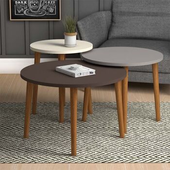 Ensemble de Tables Basses CASSANDRA Crème - Cappuccino - Marron 3 pièces 3