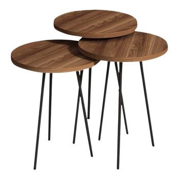 Ensemble de table basse TERRA noyer 3 pièces 1