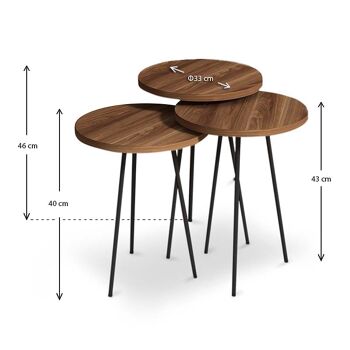 Ensemble de table basse TERRA noyer 3 pièces 3