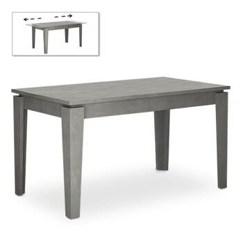 Table à manger extensible AMPFORA Retro Gris 160/200x90x76cm 3