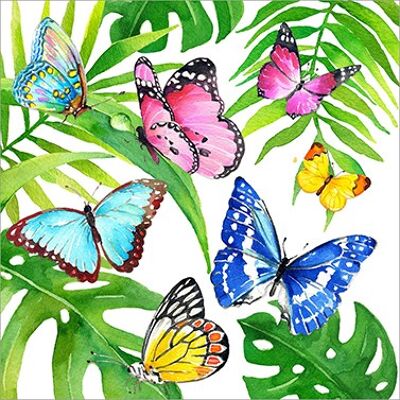 Papillons Tropicaux 33x33 cm