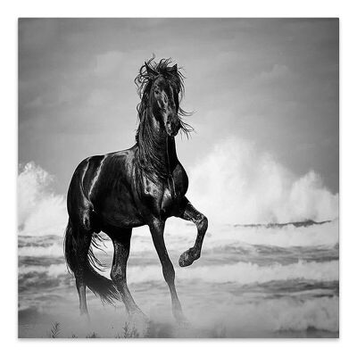 Peinture sur toile HORSE POWER impression numérique 60x60x3cm