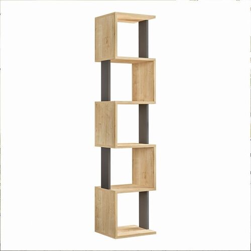Bookcase STAIRS Natural Beech/Anthracite