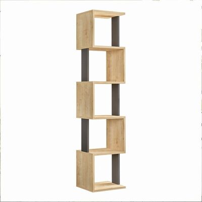 Bookcase STAIRS Natural Beech/Anthracite