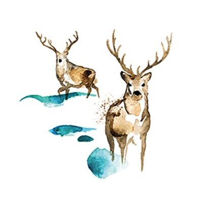 Deer watercolor 33x33 cm
