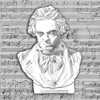 Beethoven 33x33 cm