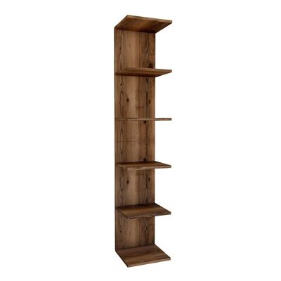 Bookcase THOMAS Walnut