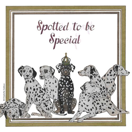 Spotted to be special 33x33 cm