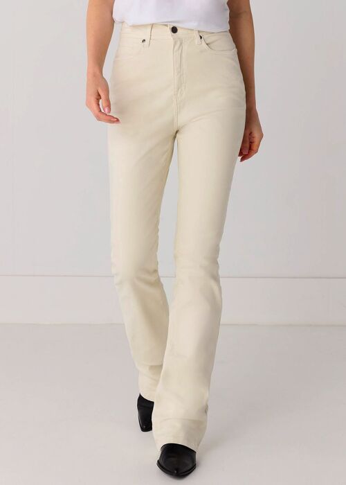 CIMARRON - Gracia-Nectar Color Pants | High Rise- Boot Cut |135376