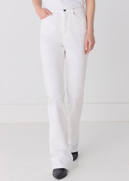 CIMARRON - Gracia-Pigm Color Pants | High Rise- Boot Cut |135301