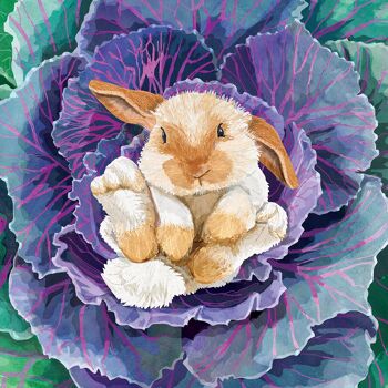Babs le lapin 33x33 cm