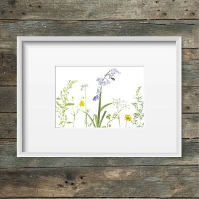 Art print meadow flowers & wild bees