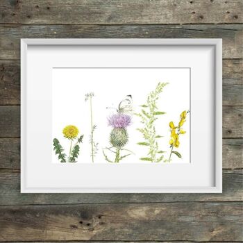 Impression d'art fleurs de prairie & papillon blanc de chou 3