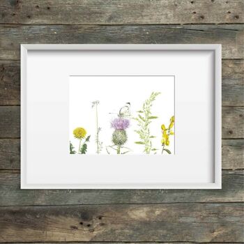 Impression d'art fleurs de prairie & papillon blanc de chou 4