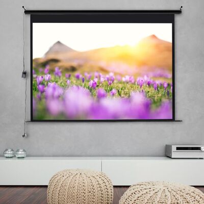 Livingandhome 84 inch Manual Pull Down Projector Screen 4:3 Wall Mounted