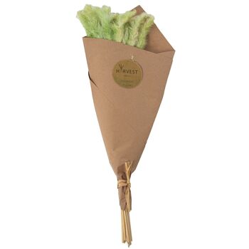 BOUQUET DE FLEURS ENVELOPPÉ DANS DU PAPIER VERT _50CM LL26653 2