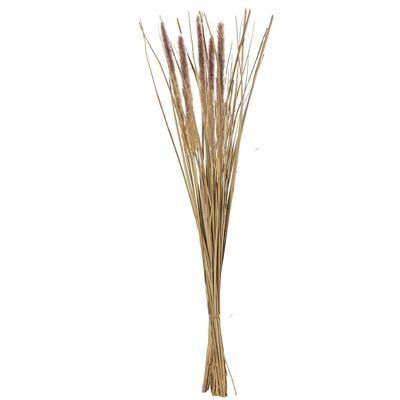 RAMO FLORES SECAS NATURAL _85-90CM LL26664