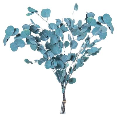 BOUQUET OF PRESERVED NATURAL BLUE EUCALYPTUS LEAVES _70-80CM LL27444