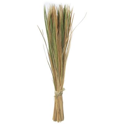BOUQUET OF NATURAL GRASS LEAVES _100CM LL26631