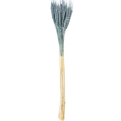 BOUQUET OF PRESERVED NATURAL BLUE WHEAT STICKS _70CM LL27495