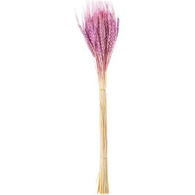 BOUQUET OF WHEAT STICKS NATURAL PRESERVED PINK _70CM LL27497