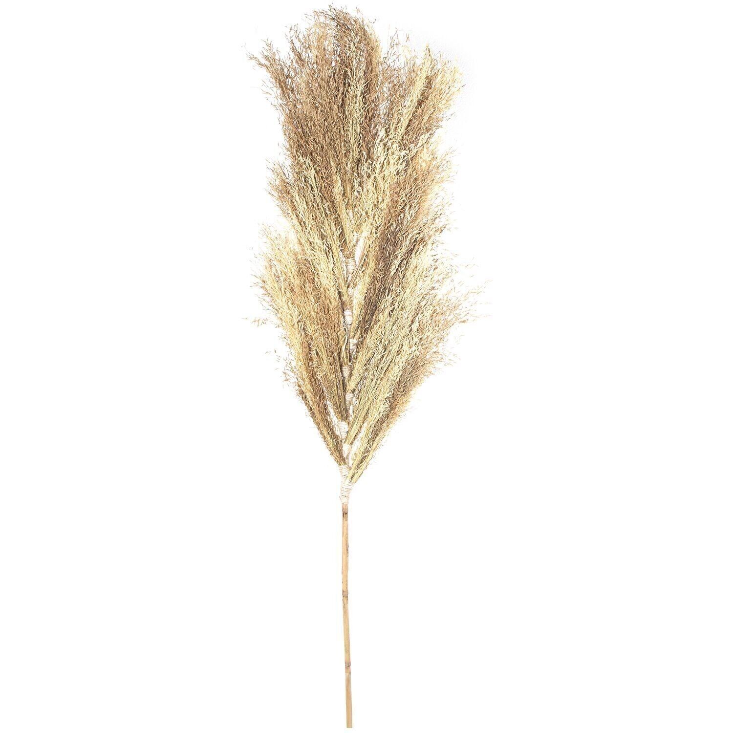 NATÜRLICHER GRASBLÄTTERZWEIG _150CM LL26633