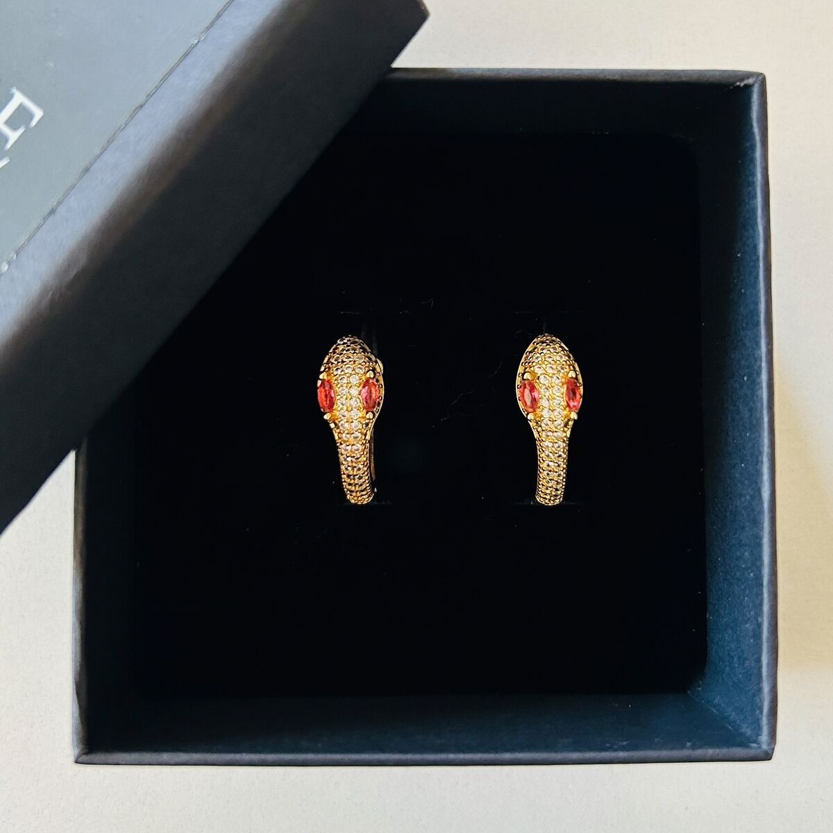 COPPIA DI CERCHI SERPENTE cod.1