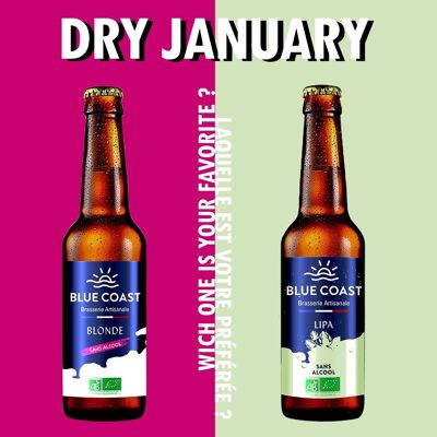 DRY JANURARY PACK - 48 non-alcoholic beers - 33cl - ORGANIC