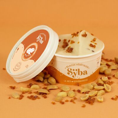 Peanut ice cream & caramel pieces, fleur de sel - 120ml