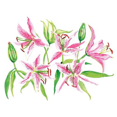 Servilleta Stargazer Lilies 33x33