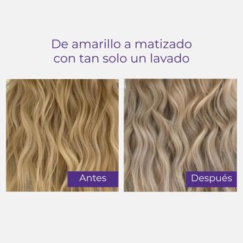 Shampooing Bleu Technique | Shampoing pour tonifier les cheveux blonds et gris 3