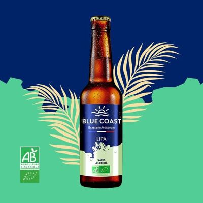 Handwerklich hergestelltes Bier – Alkoholfreies IPA – 33-cl-Flasche – BIO
