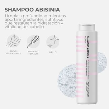 Shampooing réparateur Abyssinie | Shampoing réparateur pour cheveux secs 2