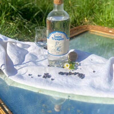 ORGANIC FRENCH GIN - THE MIRACLE OF SAINT-FRUSQUIN - 43% VOL. 70CL