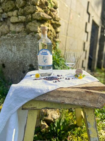 GIN FRANÇAIS BIO - LE MIRACLE DE SAINT-FRUSQUIN - 43% VOL. 70 CL 2