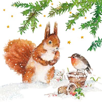 Squirrel & Robin Napkin 25x25