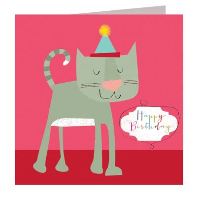 AA01 Birthday Cat Greetings Card