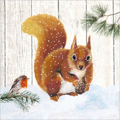 Robin & Squirrel 33x33cm